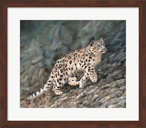 Framed Snow Leopard Climbing Up Print