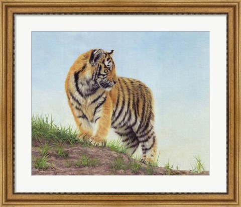 Framed Young Tiger 10 Print