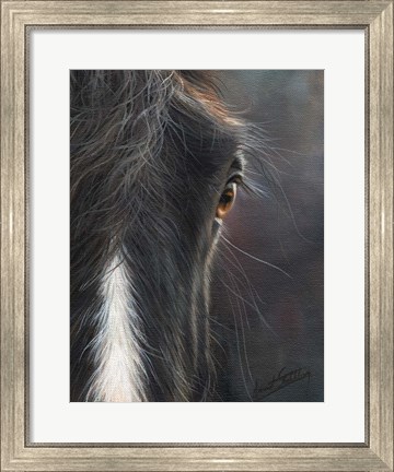 Framed Horse Portrait Print