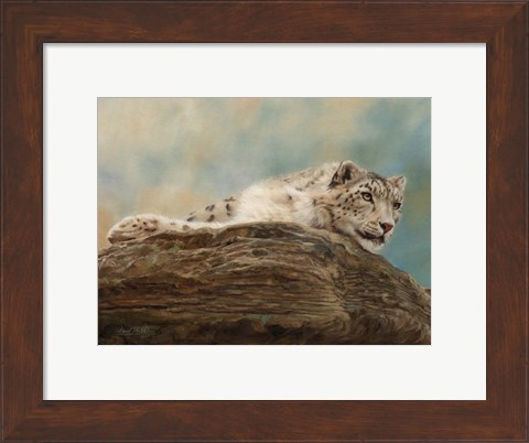 Framed Snow Leopard 14 Print