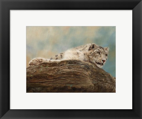 Framed Snow Leopard 14 Print