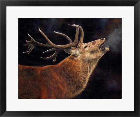Framed Red Deer Stag Winter Breath Print