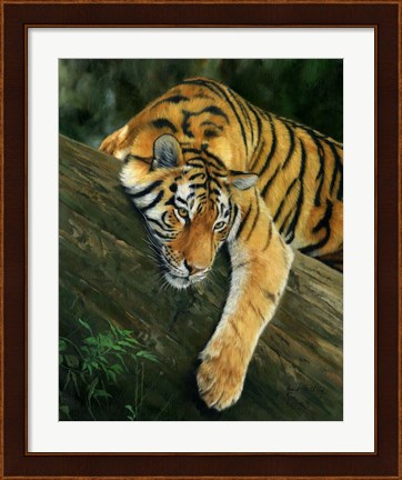 Framed Tiger Tree Branch Print