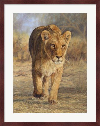 Framed Lioness Walk Print