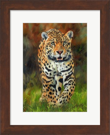 Framed Jaguar Walk Print