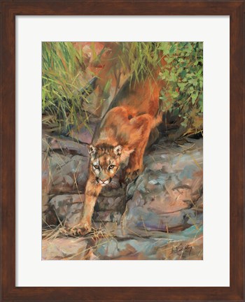 Framed Mountain Lion 2 Print