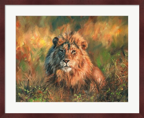 Framed Lion At Sunset Print