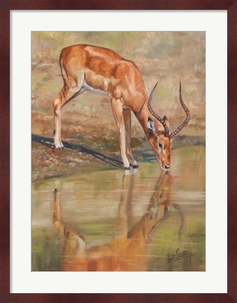 Framed Kudu Reflections Print