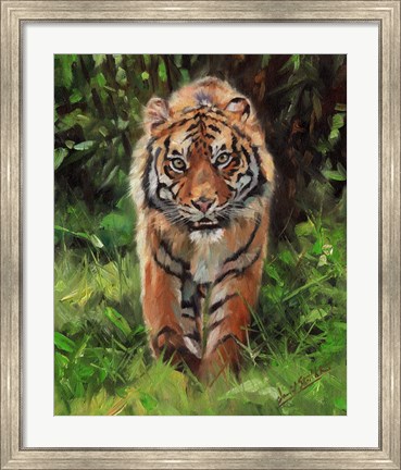 Framed Tiger Prowling Print