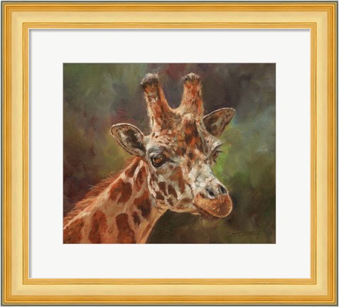 Framed Giraffe Portrait 2 Print
