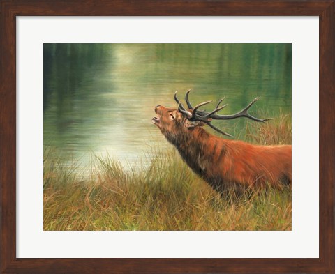 Framed Stag Call Print
