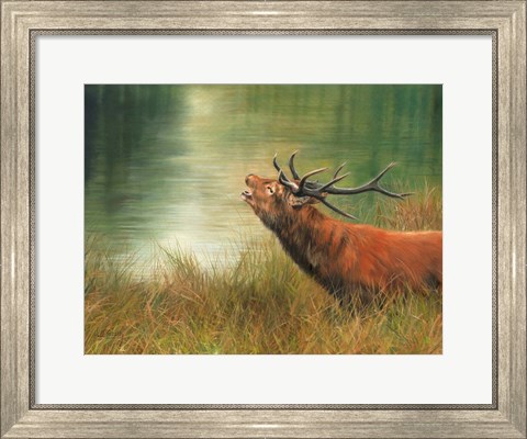 Framed Stag Call Print