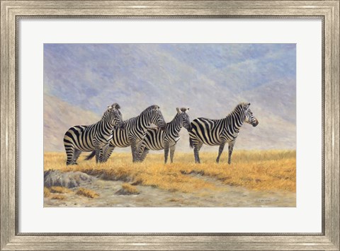 Framed Zebras Ngorongoro Crater Print