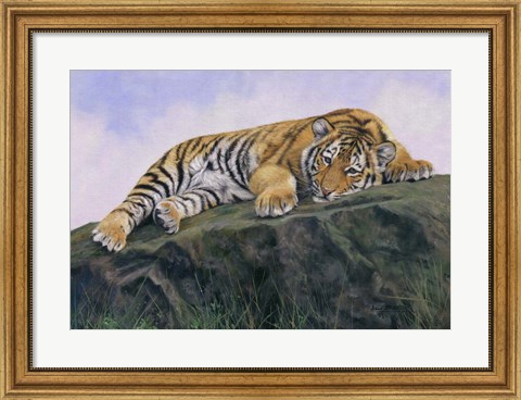 Framed Young Tiger Rock Print