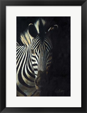 Framed Zebra Fade To Black Print