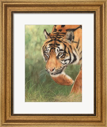 Framed Tiger 8 Print