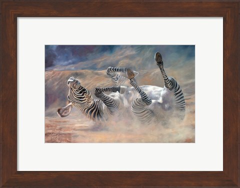 Framed Zebra Rockin And Rollin Print
