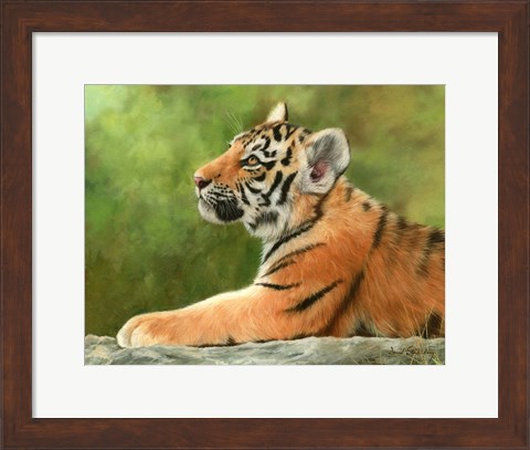 Framed Tiger Cub Looking Up Print