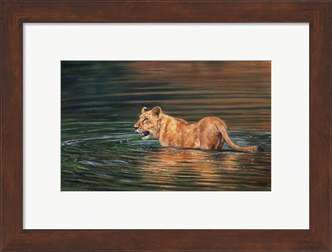 Framed Lioness Water Print