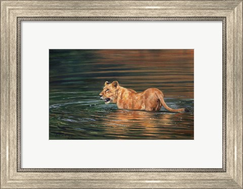 Framed Lioness Water Print