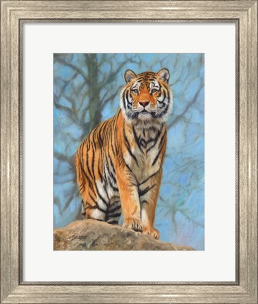 Framed Tiger Dart Print