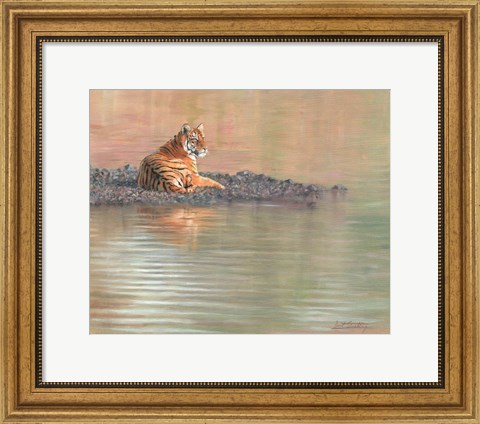 Framed Tiger Water Repose Print
