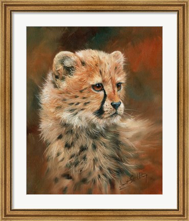 Framed Cheetah Cub Portrait Print