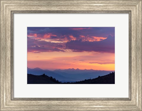 Framed Mammoth And Ancient Bristlecone Print