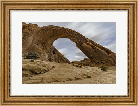 Framed Corona Arch Print