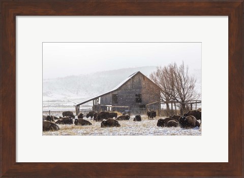 Framed Colorado Barn Print