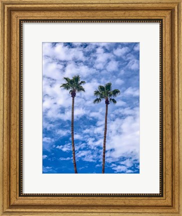 Framed Palms &amp; Blue Skies Print
