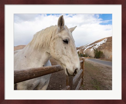 Framed On the Ranch Print