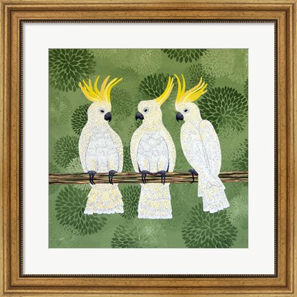 Framed Cockatoo Trio Print