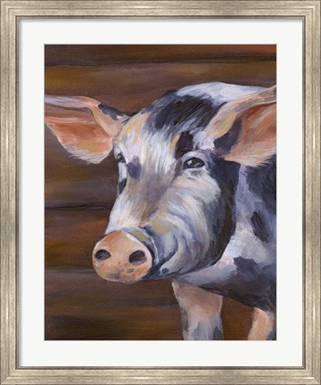 Framed Barn Pig Print