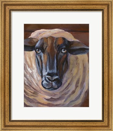 Framed Barn Sheep Print