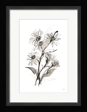 Framed Daisy I Print