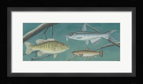 Framed Fresh Catch III Print