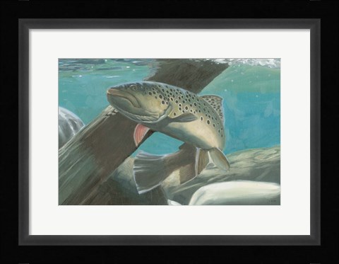 Framed Fresh Catch I Print