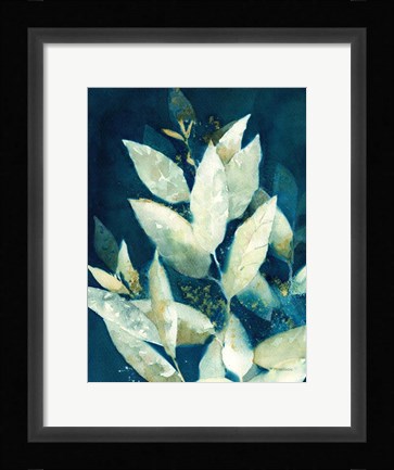 Framed Shower of Gold II Print