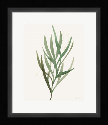 Framed Leaf and Stem VII Print