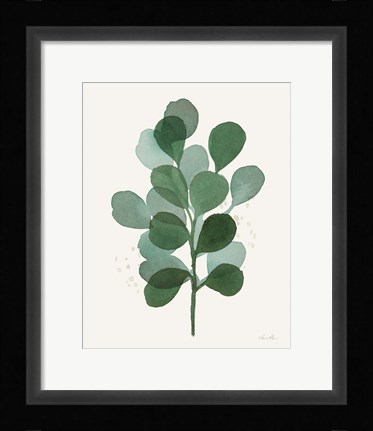 Framed Leaf and Stem V Print