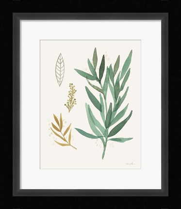 Framed Leaf and Stem IV Print
