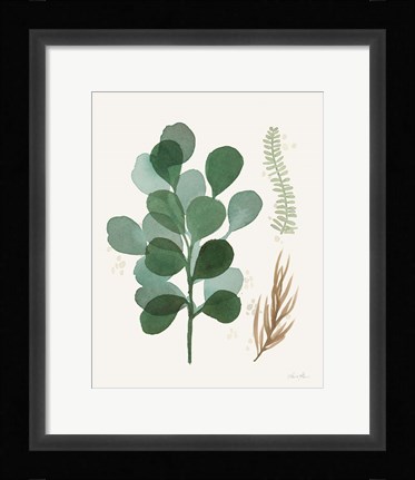 Framed Leaf and Stem II Print