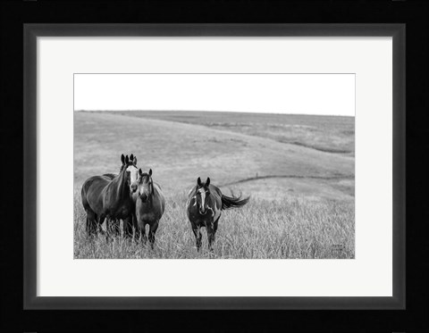 Framed Montana Moves Print