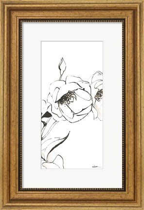 Framed Sketch of Roses Panel III Print