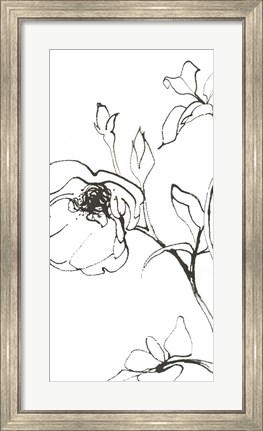 Framed Sketch of Roses Panel I Print