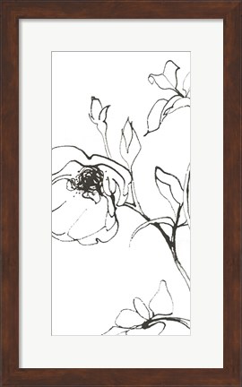 Framed Sketch of Roses Panel I Print