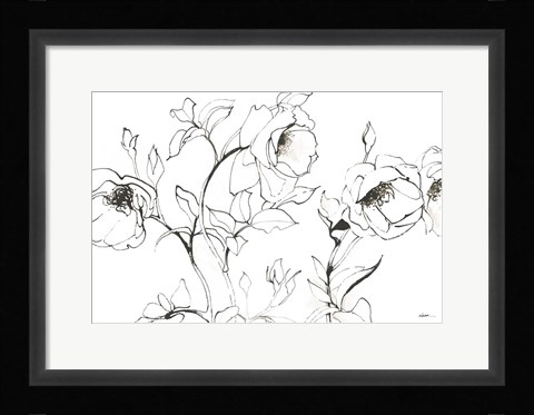 Framed Sketch of Roses Print