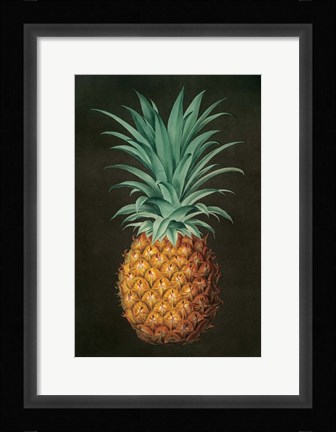 Framed Vintage Pineapple II Print