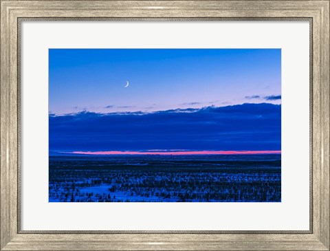 Framed Low Waxing Crescent Moon in the Evening Sky Print